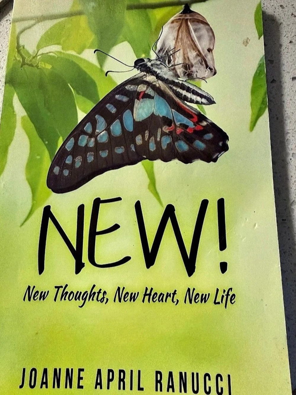 New! New Thoughts, New Heart, New Life by JoAnne April Ranucci